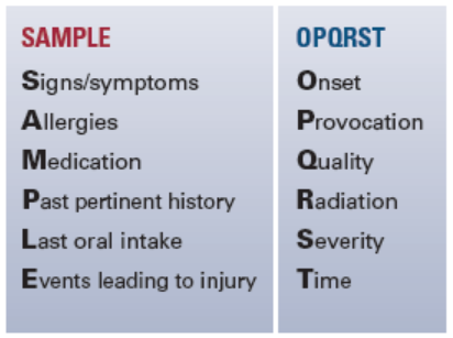 Figure 1. Patient assessment mnemonics may be used when collecting information about patients.