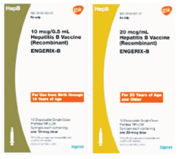 Figure 2. GSK manufactures two hepatitis B vaccines, one intended for children from birth through 19 years (left), and the other for adults 20 years and older (right). The cartons do not specify “pediatric” or “adult” formulation, and the syringe labels (not pictured) do not include the recommended age range or state “pediatric” or “adult” formulation.