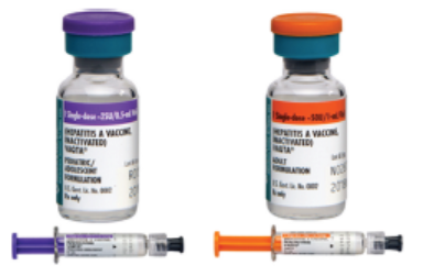Figure 3. Merck manufactures two hepatitis A vaccines, one intended for children 12 months through 18 years (left), and the other for patients 19 years and older (right). The labels specify pediatric/adolescent or adult, but this is displayed below the name of the vaccine in similar font size and can be easily overlooked.